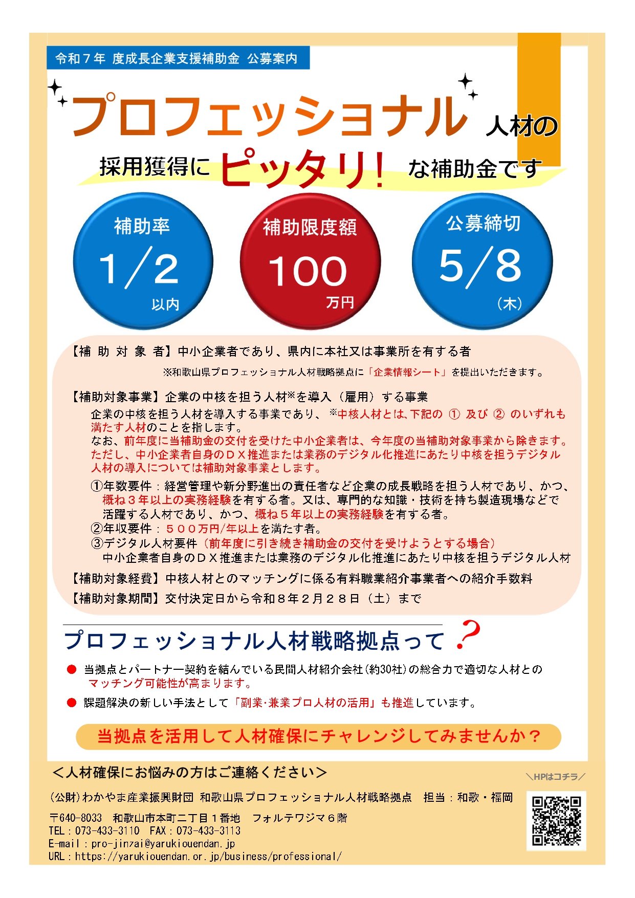 成長企業支援補助金　チラシ (1)_page-0001